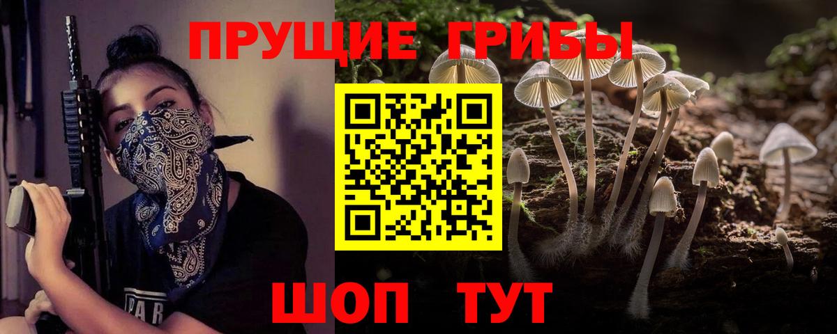 Псилоцибиновые грибы GOLDEN TEACHER Кудрово