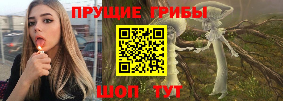 Галлюциногенные грибы Cubensis  Вход с VPN  Кудрово 
